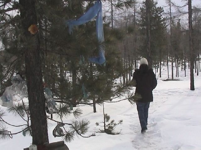 section image
